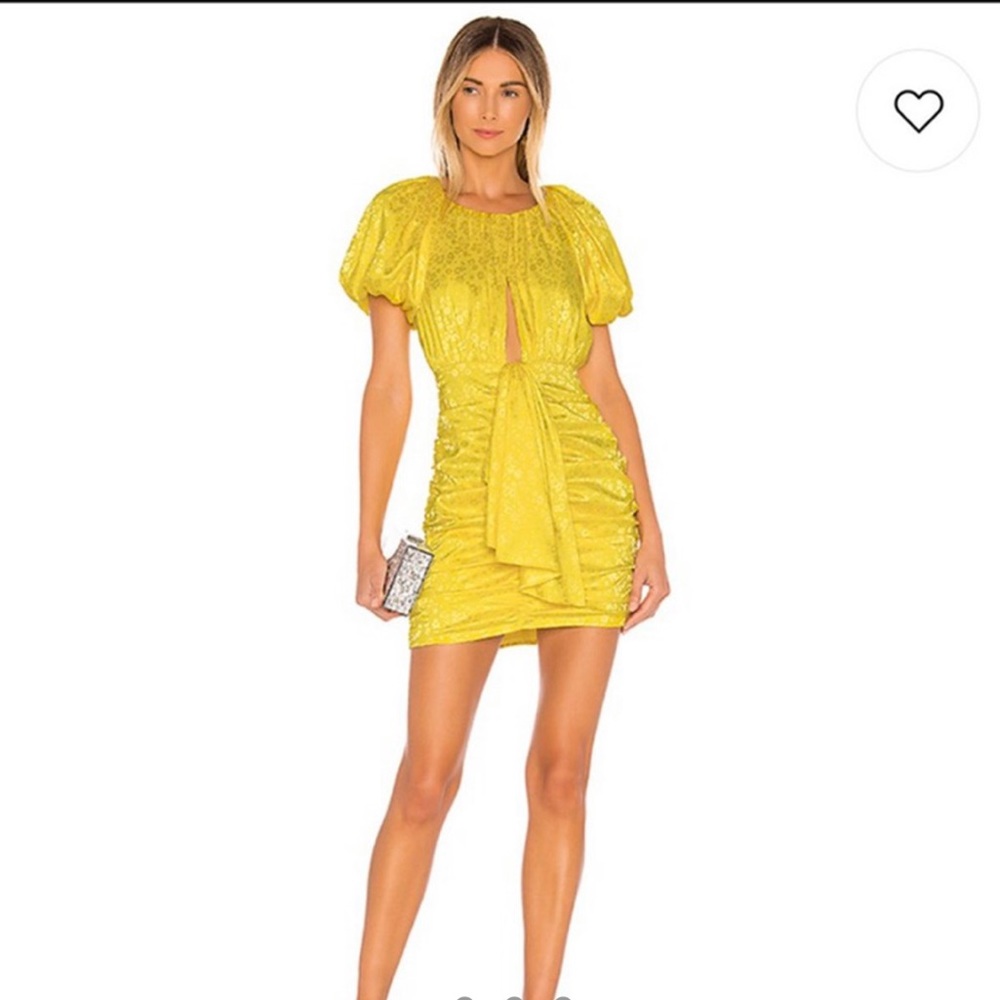 For Love And Lemons Dress